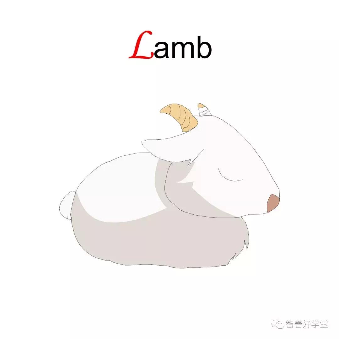 26个英文字母正确发音快速记忆法,26个英文字母数字记忆法