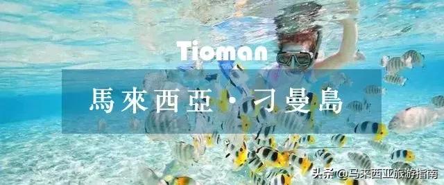 建议在哪里拿潜水证,如何免费学习潜水证