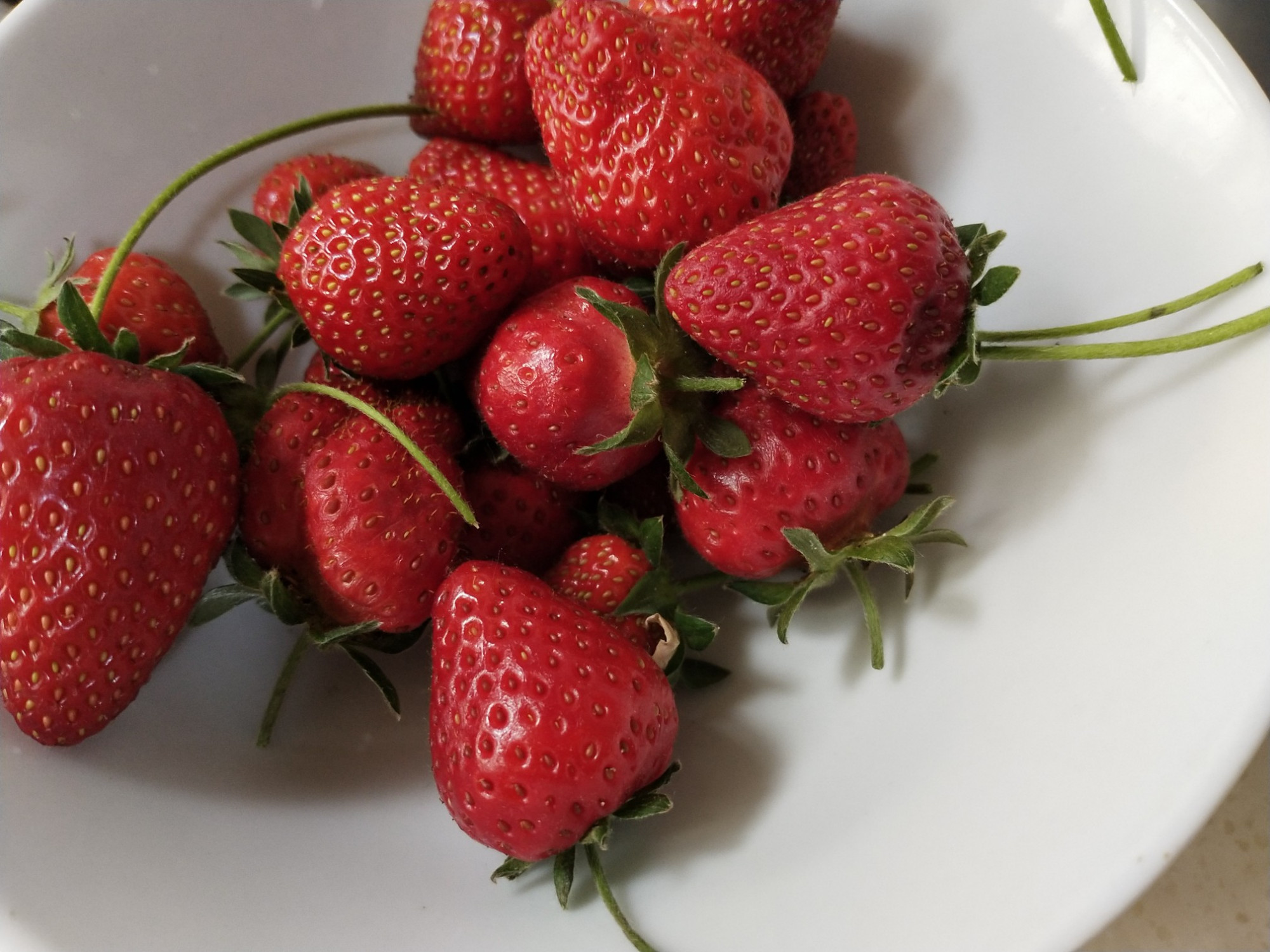 每天补充褪黑素让你一觉到天亮,天然褪黑素帮你改善睡眠