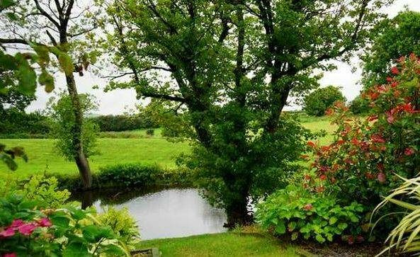 虞姬沟记忆,虞姬沟回忆