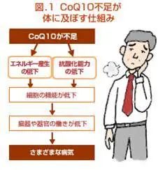 A-Z理研理化研究所简介