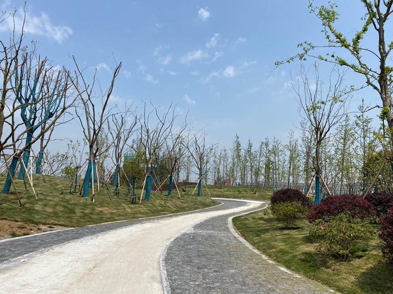 南京电影小镇华谊兄弟需要门票吗,南京华谊兄弟电影小镇