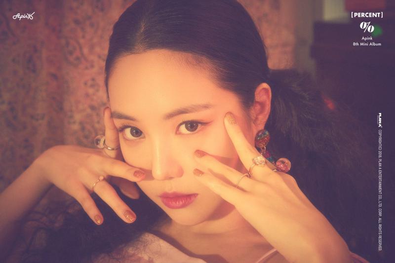 一百团女团成员,apink出道时的介绍