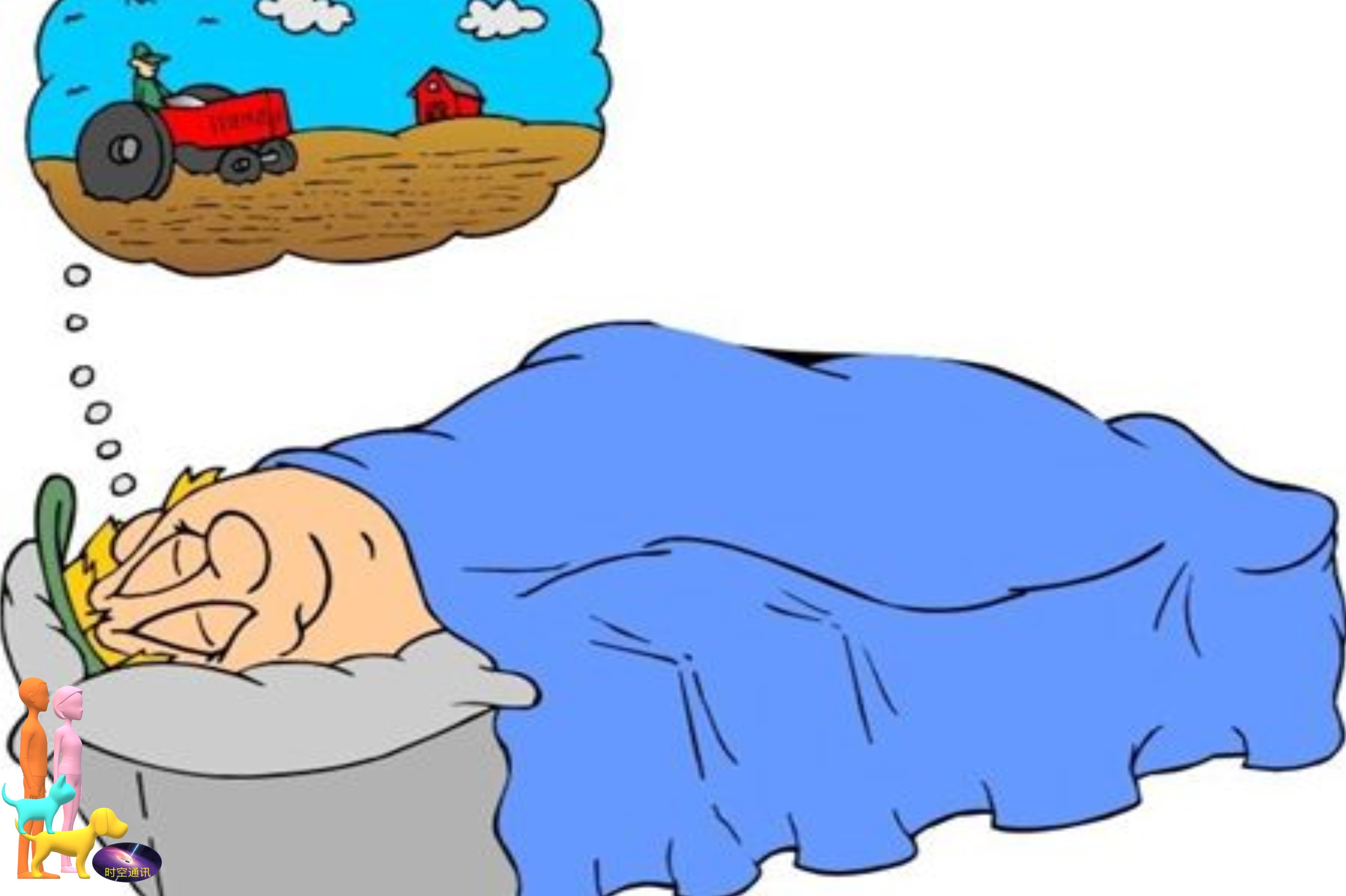 枕头才是你一生一世的最佳陪伴,你真的需要一个好枕头