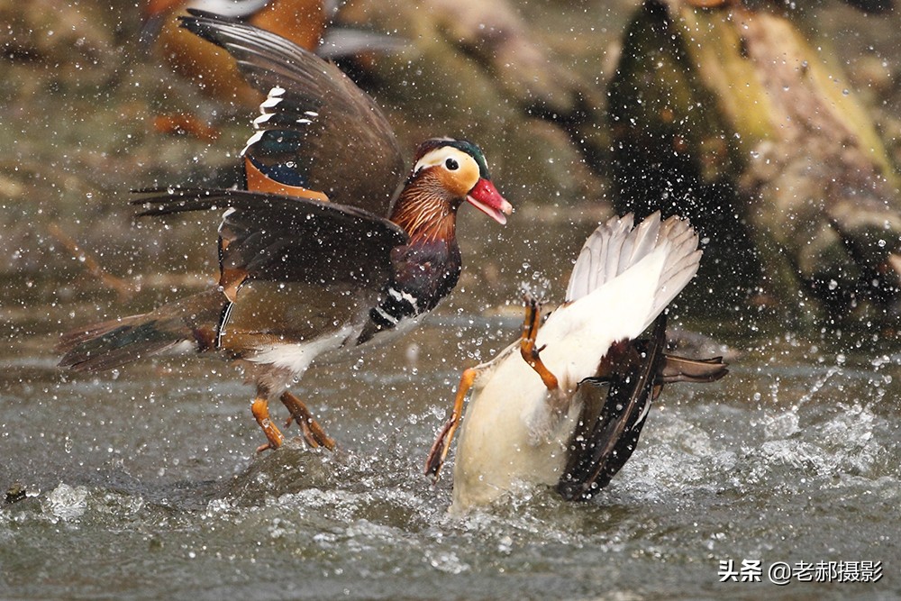 冲冠一怒为红颜讲的是谁,冲冠一怒为红颜的故事