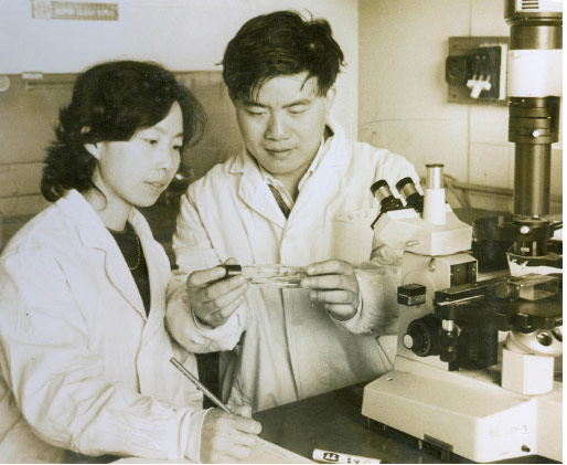 国产最好的他汀药,国内最好的他汀药