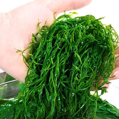 鞭炮笋结合小海鲜做成凉拌菜双重脆嫩在舌尖绽放