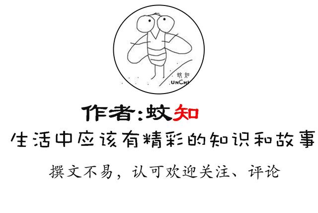 光合作用是什么具体过程,光合作用儿童科普