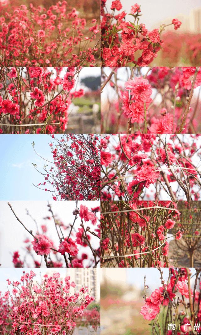 春节游玩攻略正式上线,春节嗨玩攻略