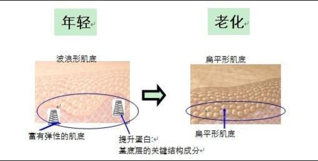 不交智商税的鱼油,不交智商税不花冤枉钱