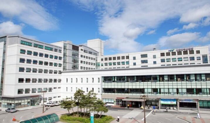 韩国中国留学生最多的大学,最适合中国留学生的日本大学