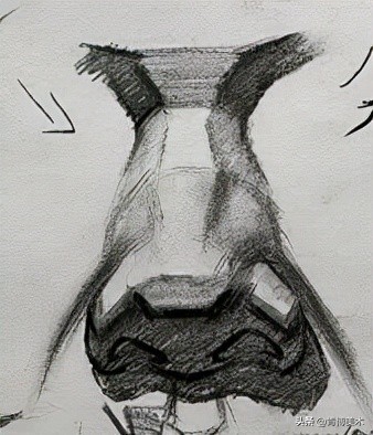 鼻子看起来很塌又不塌,鼻子看着没立体感