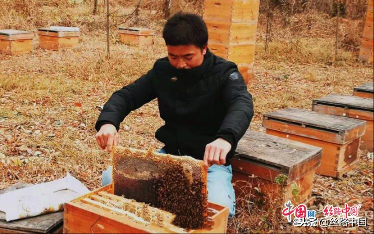 宜章产业扶贫,铜川宜君县健康扶贫