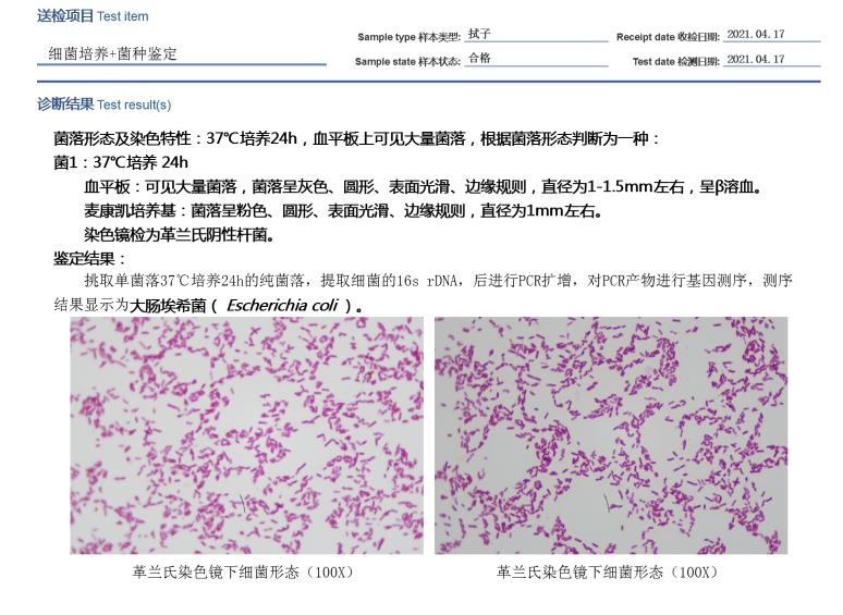 猫咪额头突然肿起来到底是什么原因导致的？你知道吗