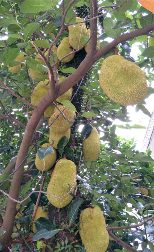 东兴边境线海岸线,广西东兴边境线