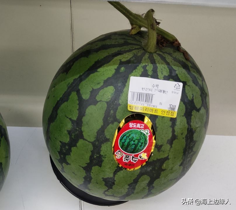 旅行日记：船员韩国下地购物，终于踏上陆地，心情无比激动