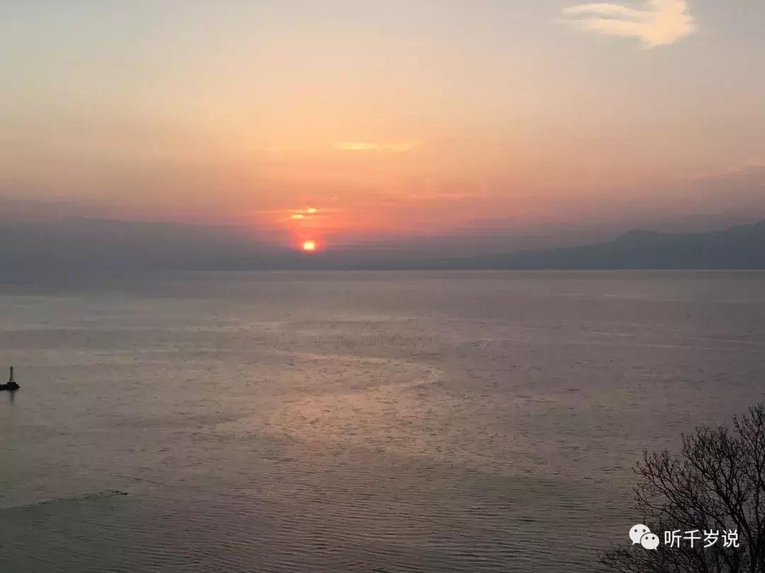 日本东京熊本熊,日本熊本游