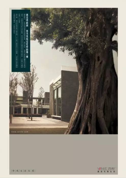 房地产文案打动人心,房地产有争议性的爆款文案