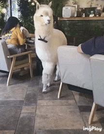 国外真人服装店模特,美国服装模特