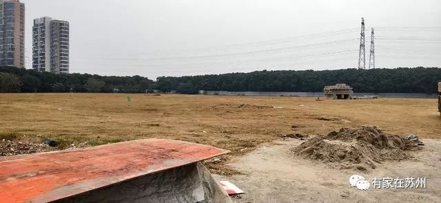 新星海高中来了！实地勘探，湖东人民有福了