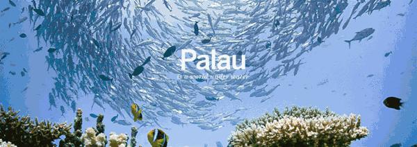 从A到Z，帕劳这个海岛国家远比你想象中更精彩