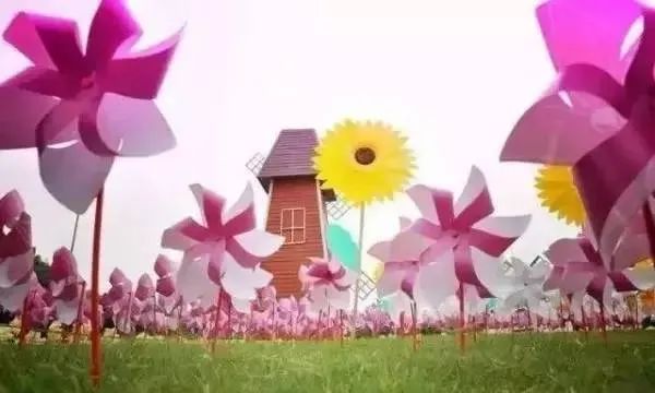 华酝牡丹园紫藤花,华酝牡丹园格桑花