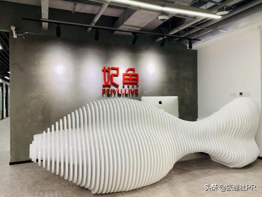 二手奢侈品借淘宝直播起飞，「妃鱼」完成数千万美元A轮融资