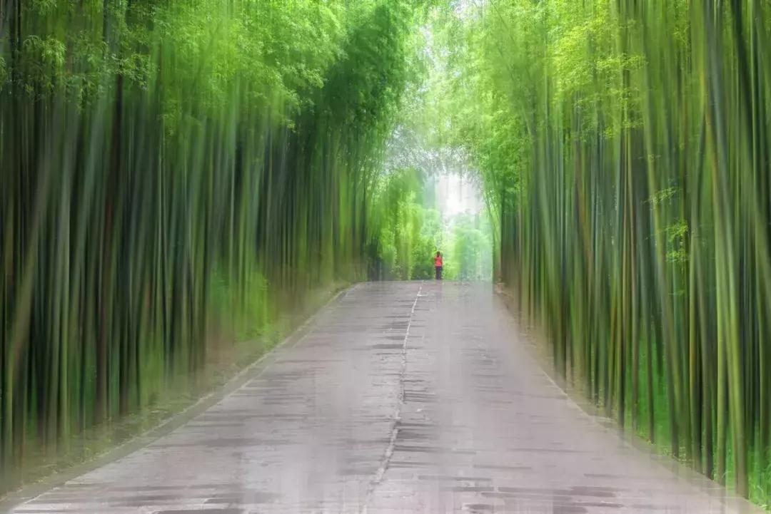 夏日清凉唯美诗词,100句美到窒息的夏日诗句