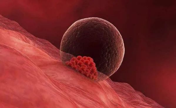 女性是如何感染阴道炎的,女性是如何感染巨细胞病毒的