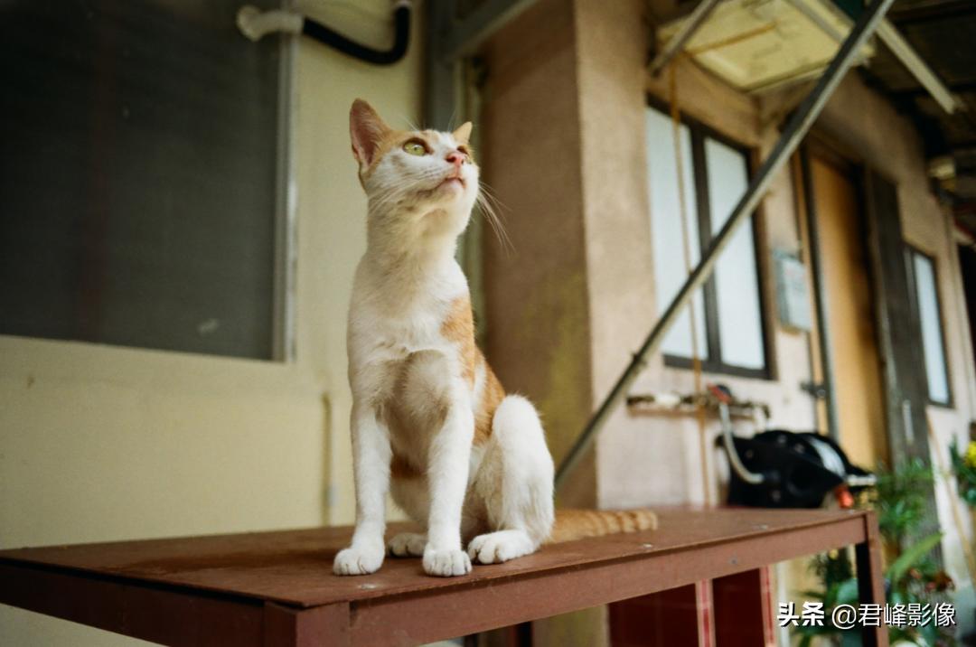 28mm镜头优缺点,28mm焦段广角够用吗