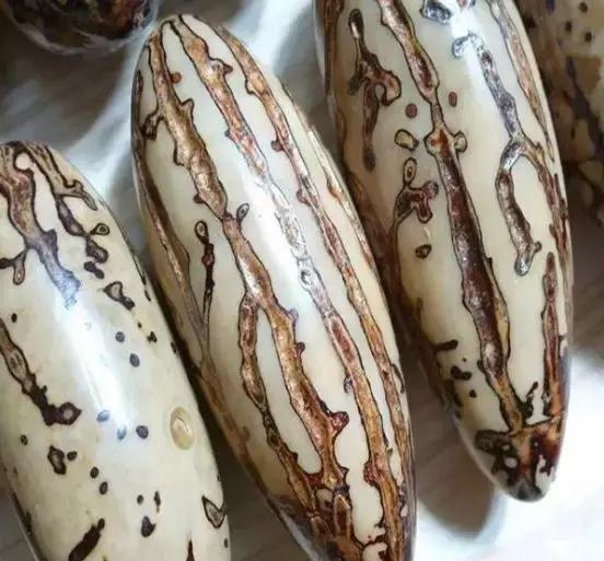 打磨出来的千眼菩提应该是什么色,千眼菩提打磨后为什么是黄褐色