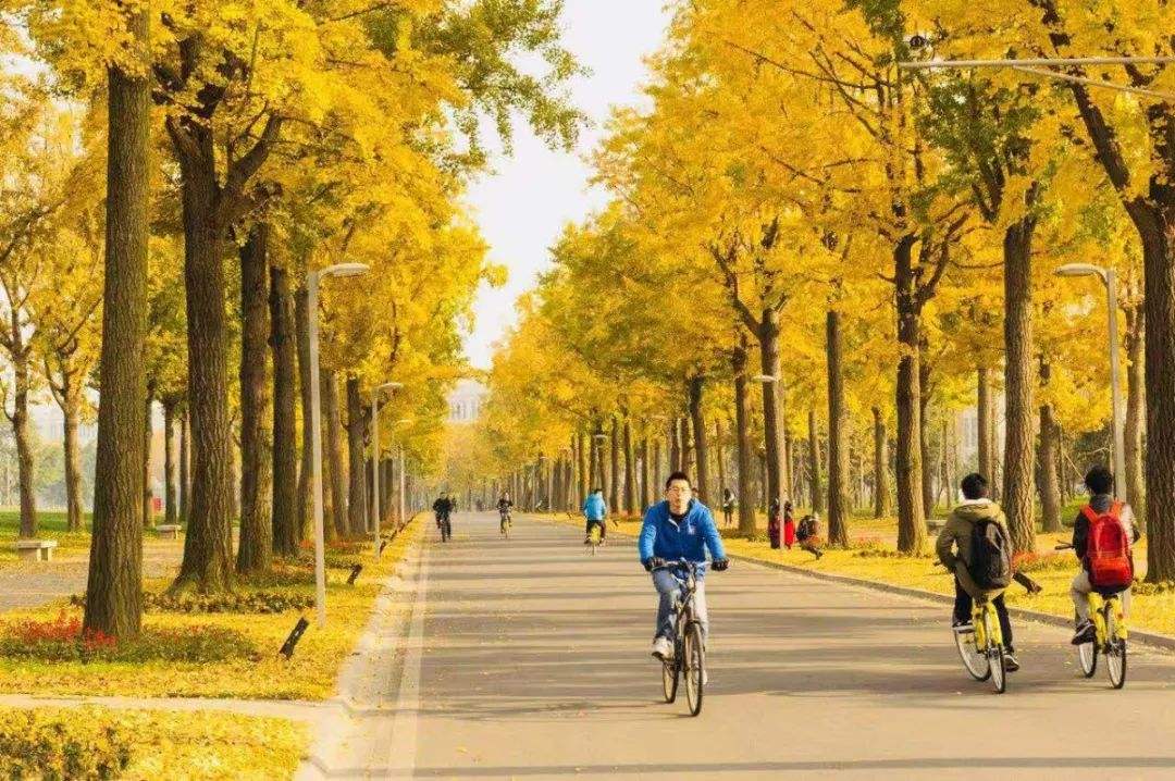 探秘北京老房子,探秘北京老式楼房