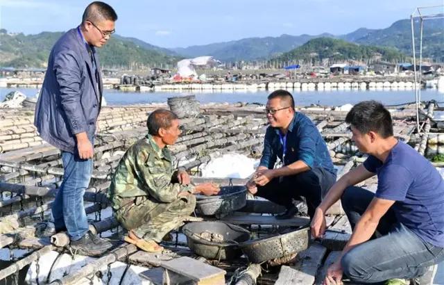 福建霞浦县：立足特色，培育品牌，农特产品插上电商之翼