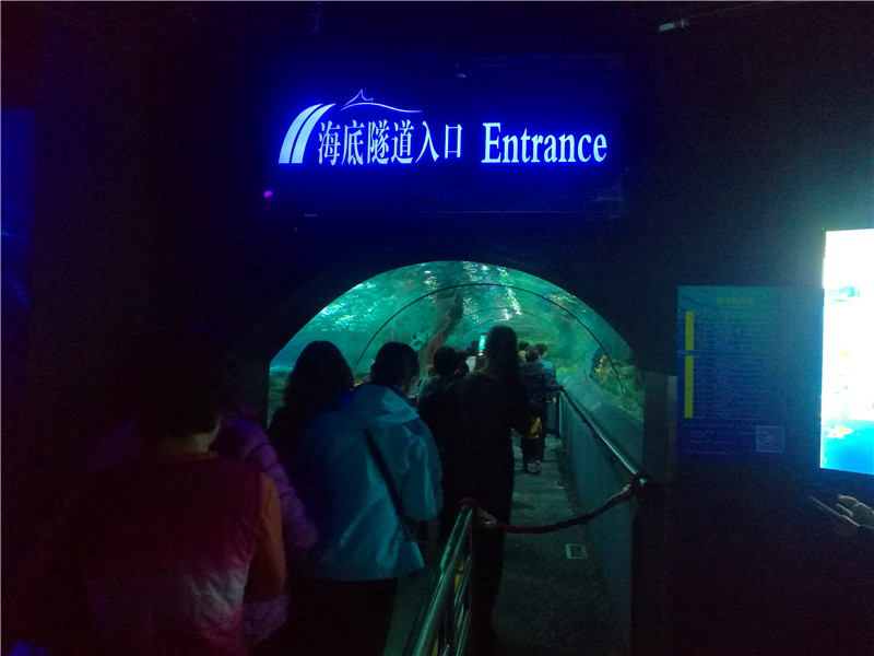 富国海底世界一日游,游富国海底世界