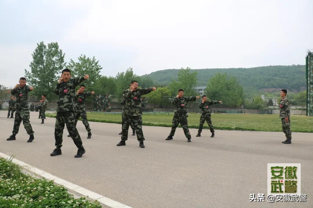 当一名好兵的感悟,怎样成为一名好兵