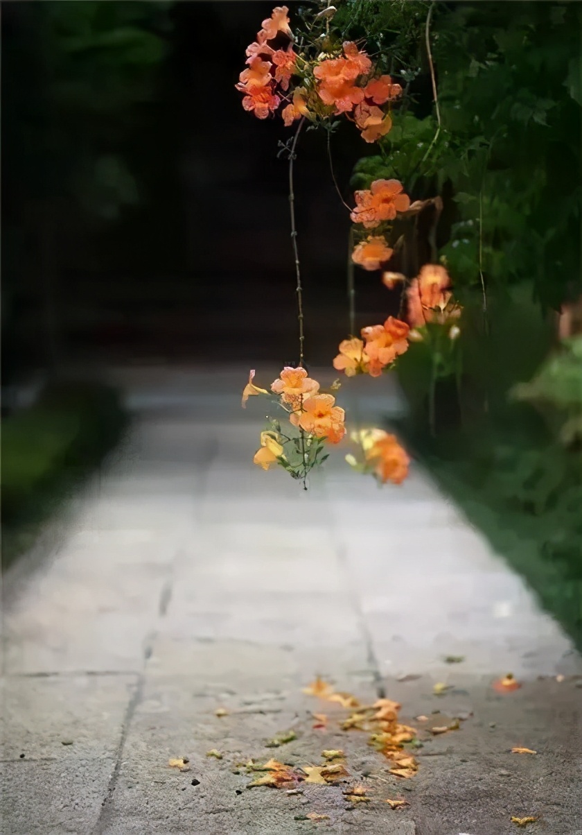 一个人的魅力也是一种风度,最有风度魅力的男人