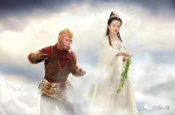 我不是泼妇也不是怨妇,我不是泼妇怎么办