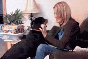 狗狗有这种行为证明你养对狗了,这八种狗狗都是粘人精谁养谁知道