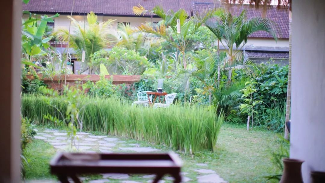 巴厘岛六日游详细攻略,巴厘岛攻略一日游最佳路线图