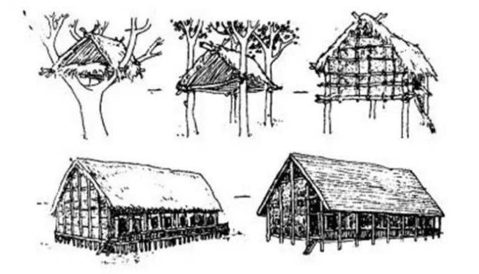 人类的祖先是怎样生活的60字,人类祖先最早发明的房子