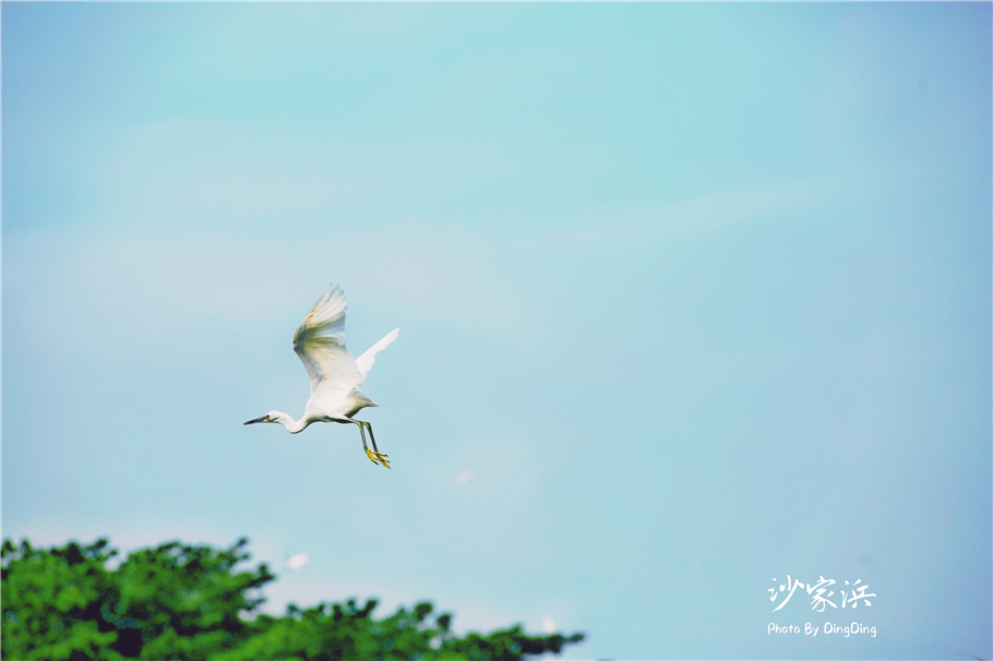苏州红色革命旅游景点图片,苏州红色革命景点介绍视频