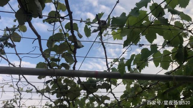 毕业后找不到工作怎么办就业证明,毕业后找不到工作该怎么办