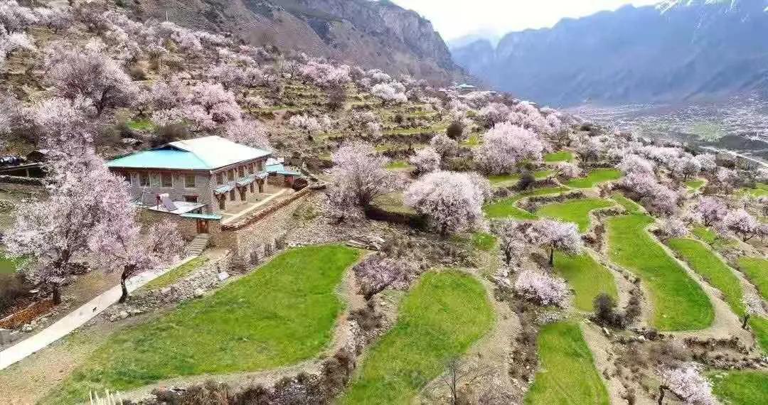 藏在日常生活中的幸福,生活在西藏是不是很幸福