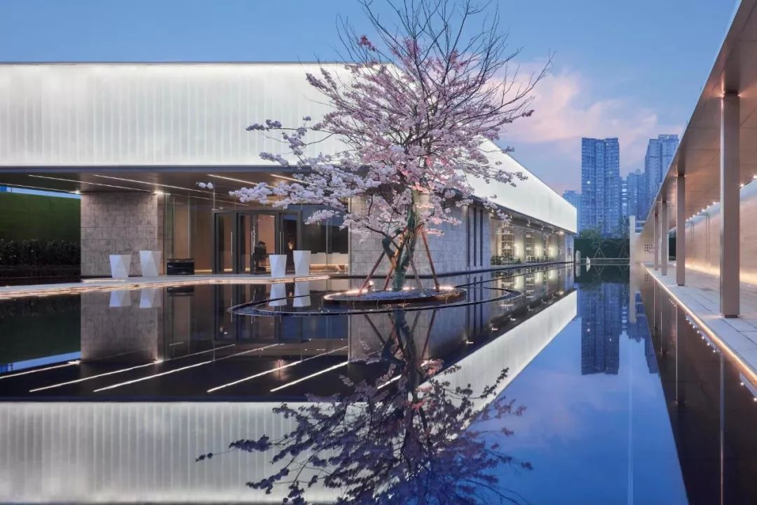 龙泉4大冷门赏桃线路出炉，向东60里遇见一座城市桃花源！