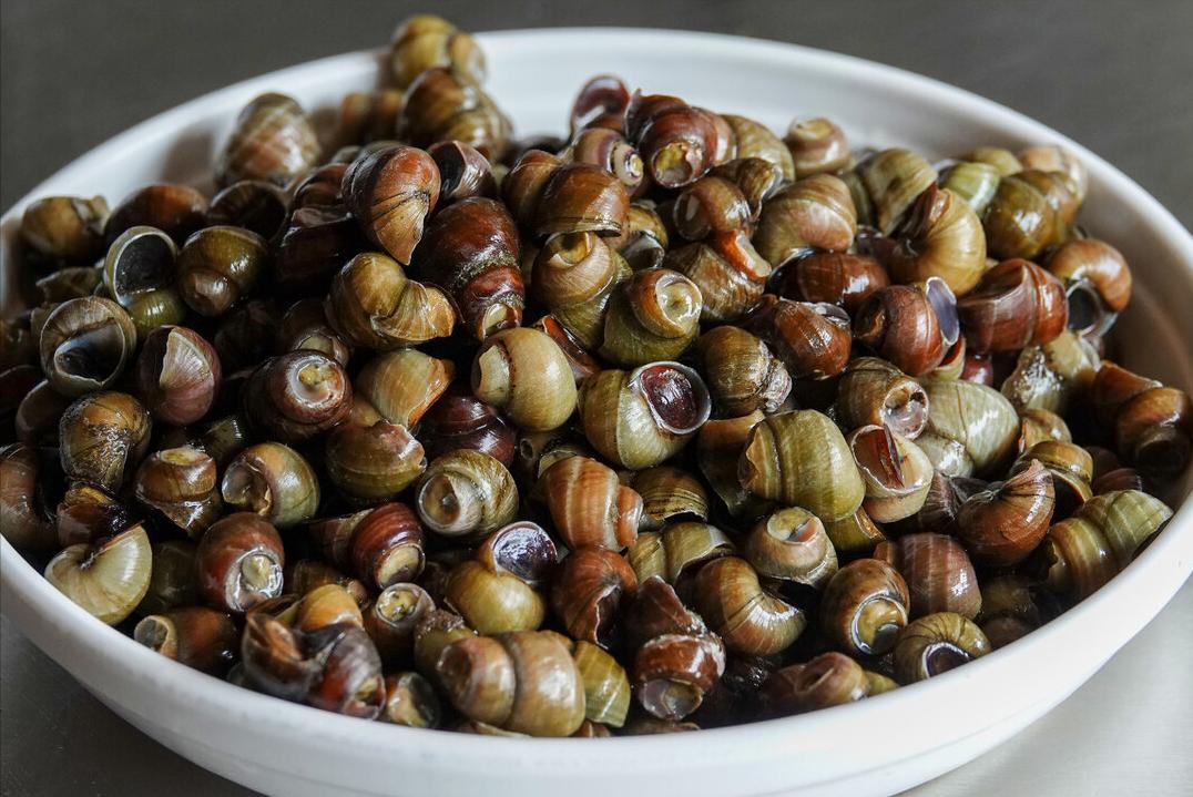 多少盐能清理田螺并保证田螺不死,清洗田螺可以用姜吗