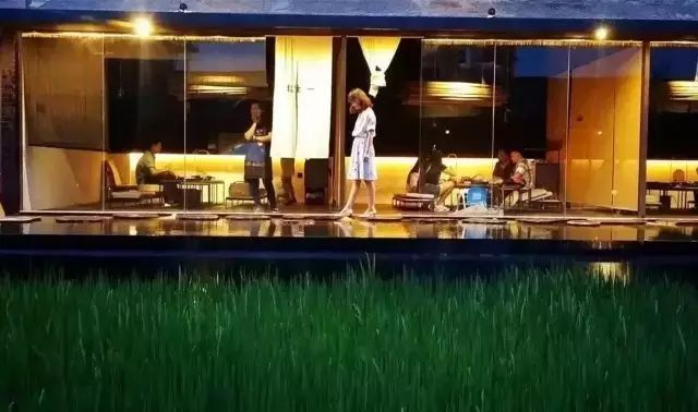 广州增城区宛若故里稻田里民宿,清远稻田田野民宿