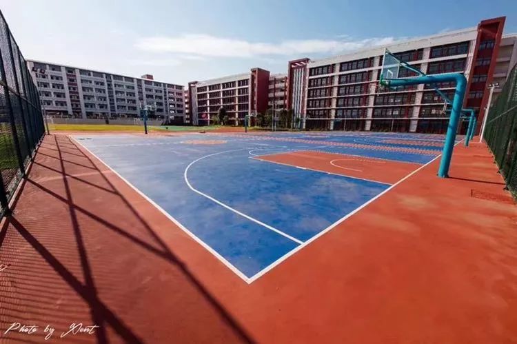 看中三美的教育模式却不想面对激烈竞争？这所学校可以满足你