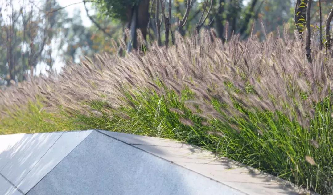 两江悦来生态城,重庆市两江悦来生态城