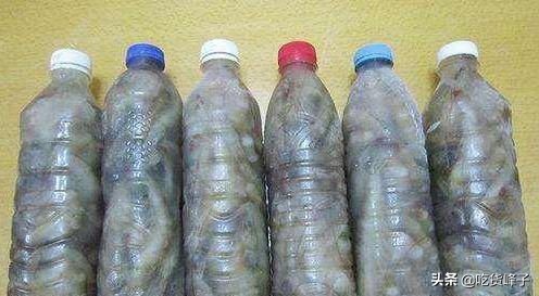 大虾怎么保存放冷藏还是冷冻,大虾放冰箱正确的冷冻方法