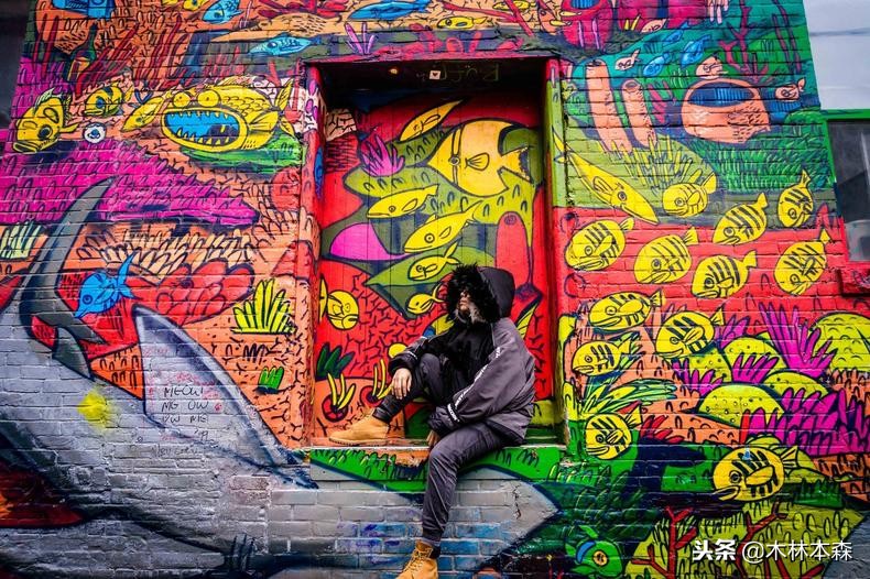 加拿大多伦多生活日记,加拿大多伦多留学生活纪实